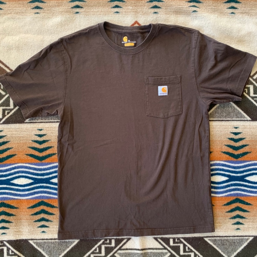 Carhartt T-Shirt in Brown